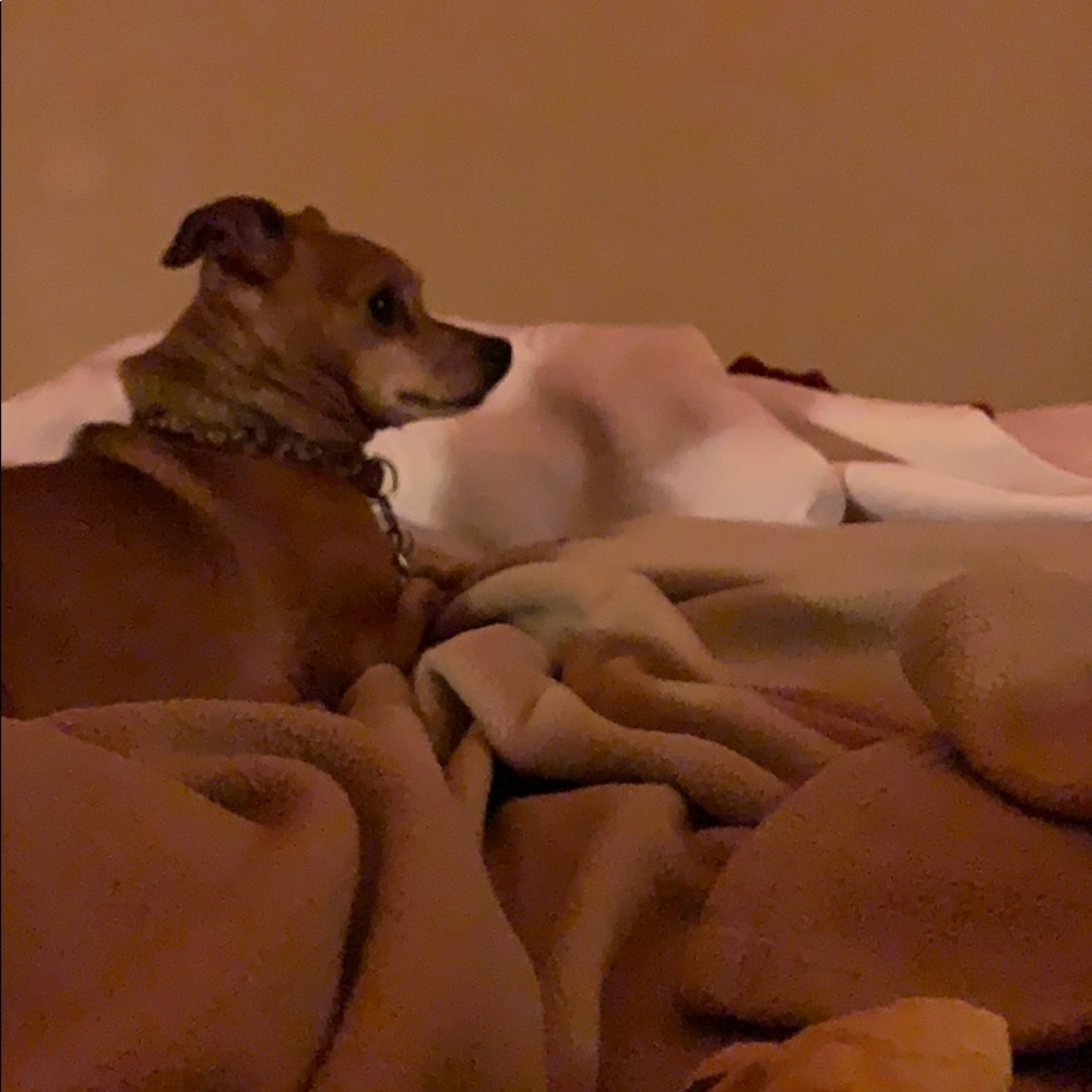 Meet your Posher, Marissa